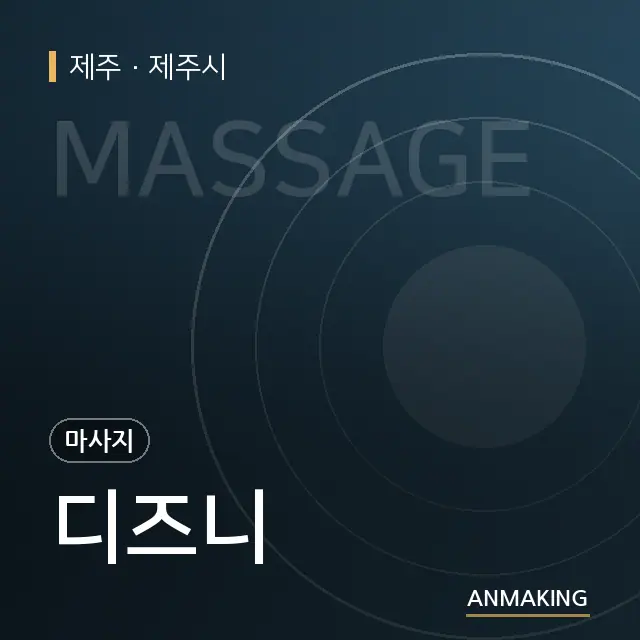 제주 제주시 디즈니 안내 이미지