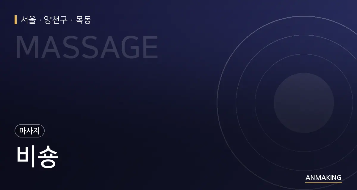 서울 양천구 비숑 안내 이미지
