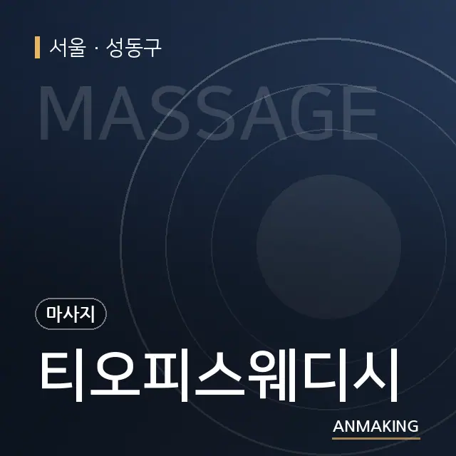 서울 성동구 티오피스웨디시 안내 이미지