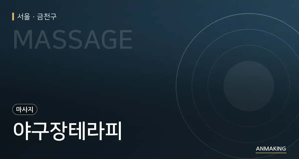 서울 금천구 야구장테라피 안내 이미지