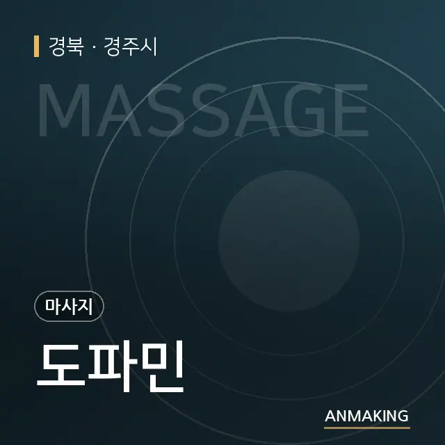 경북 경주시 도파민 안내 이미지